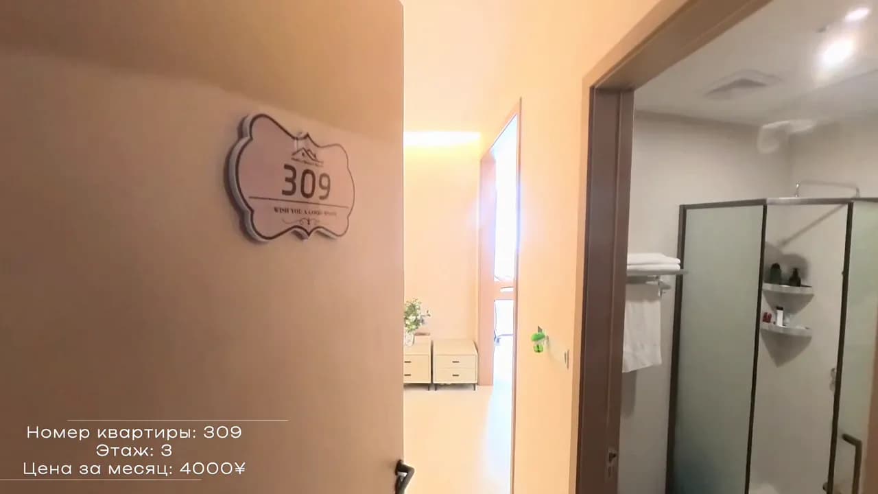 309 公寓视频导览